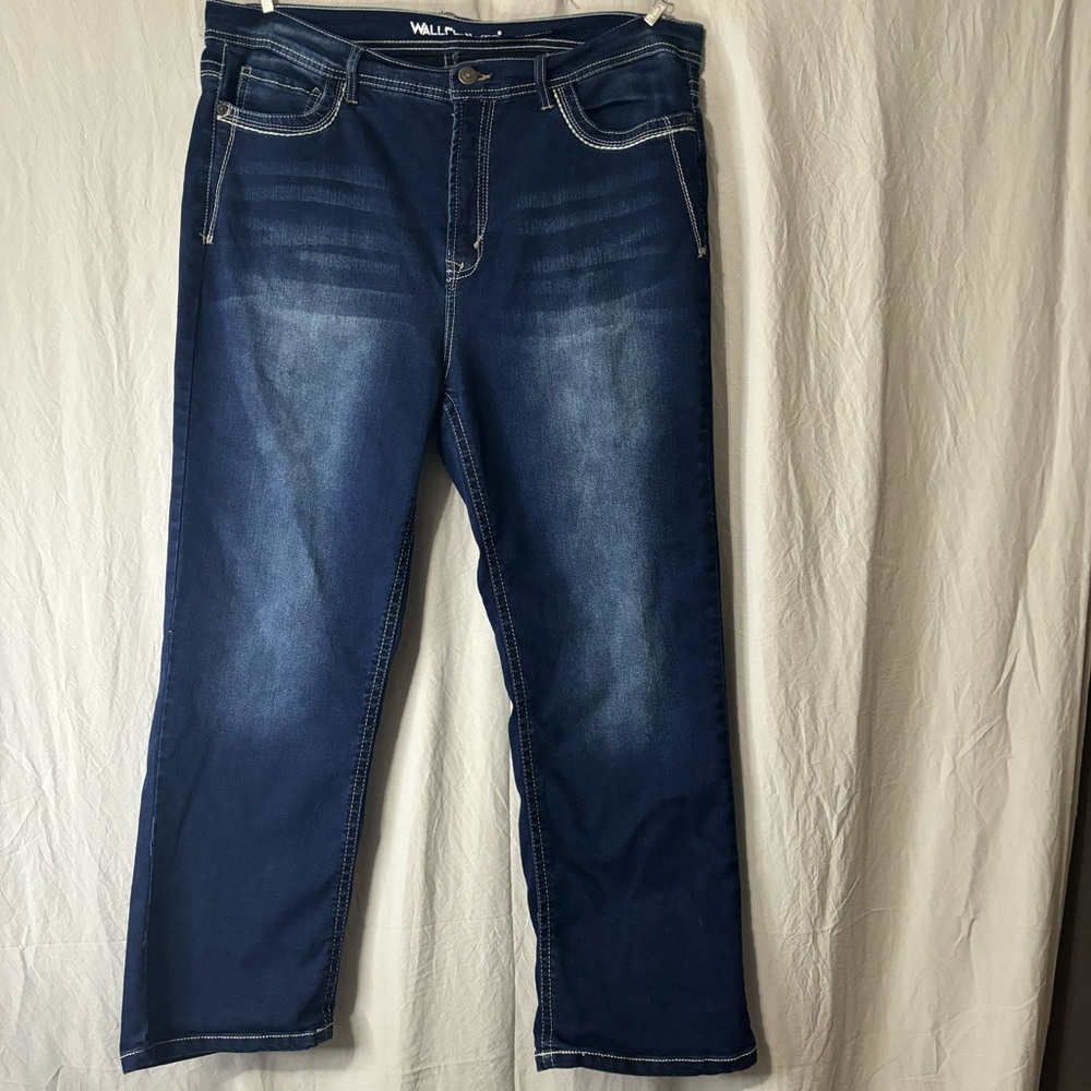 Wallflower jeans NWOT 20 Short